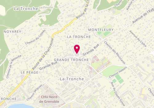 Plan de Pharmacie GUILLAUD Alexandre, 16 Rue Grande Rue, 38700 La Tronche