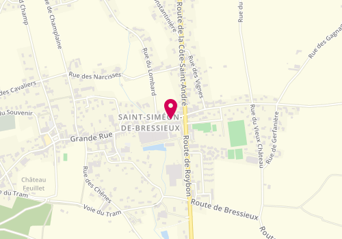Plan de Pharmacie Toyen, 65 Place Bellecour, 38870 Saint-Siméon-de-Bressieux