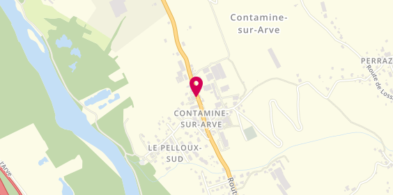 Plan de La Melusine, 201 Route d'Annemasse, 74130 Contamine-sur-Arve