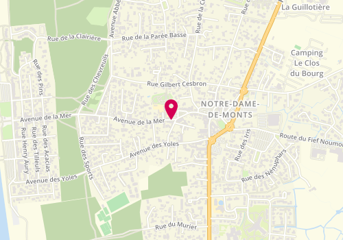 Plan de Pharmacie Dubois Pigeanne, 37 Avenue de la Mer, 85690 Notre-Dame-de-Monts