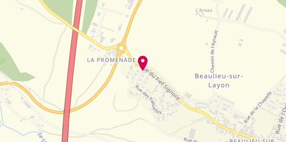 Plan de Pharmacie des Coteaux, 35 Rue des Palluelles, 49750 Beaulieu-sur-Layon
