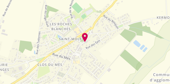 Plan de Alphega Pharmacie, 31 Rue de la Duchesse Anne, 44350 Saint-Molf