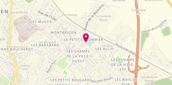 Plan de Pharmacie du Plateau, Centre Commercial Carrefour Market chemin des Allix, 45500 Gien