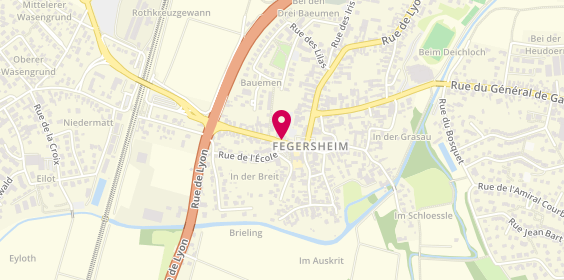 Plan de Giropharm, 21 Route de Lyon, 67640 Fegersheim
